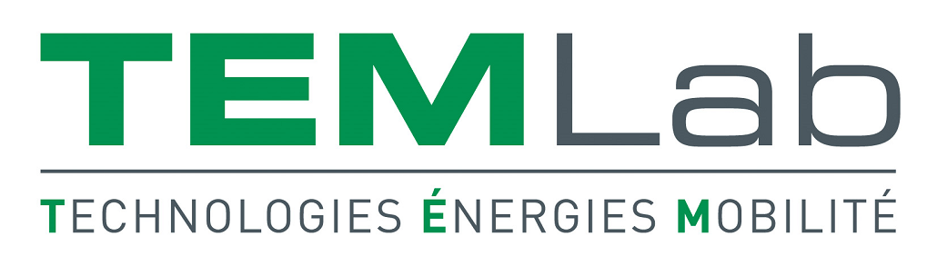 TEMLab